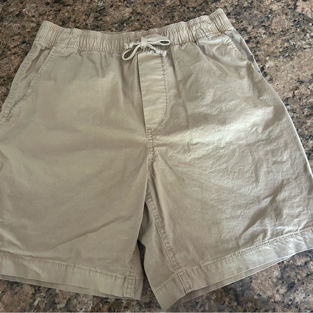 American Eagle Outfitters Men's Beige Flat Front Shorts